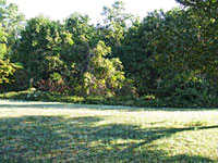 Buildable Lot