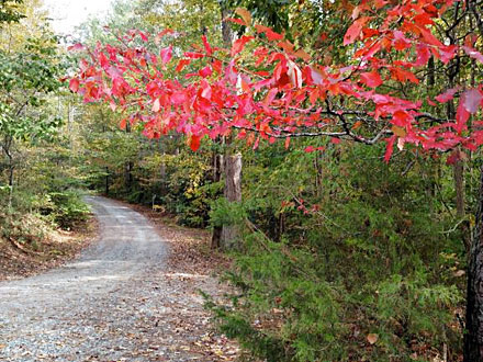 Nature & Beauty Meet Here