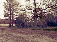 Great Building Lot with Privacy
