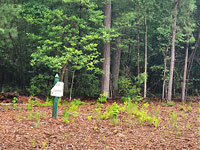 The Perfect Place to Build Your New HOME!