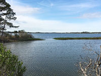 Waterfront Acreage for Recreation, Hunting, Investment or Enjoying Nature